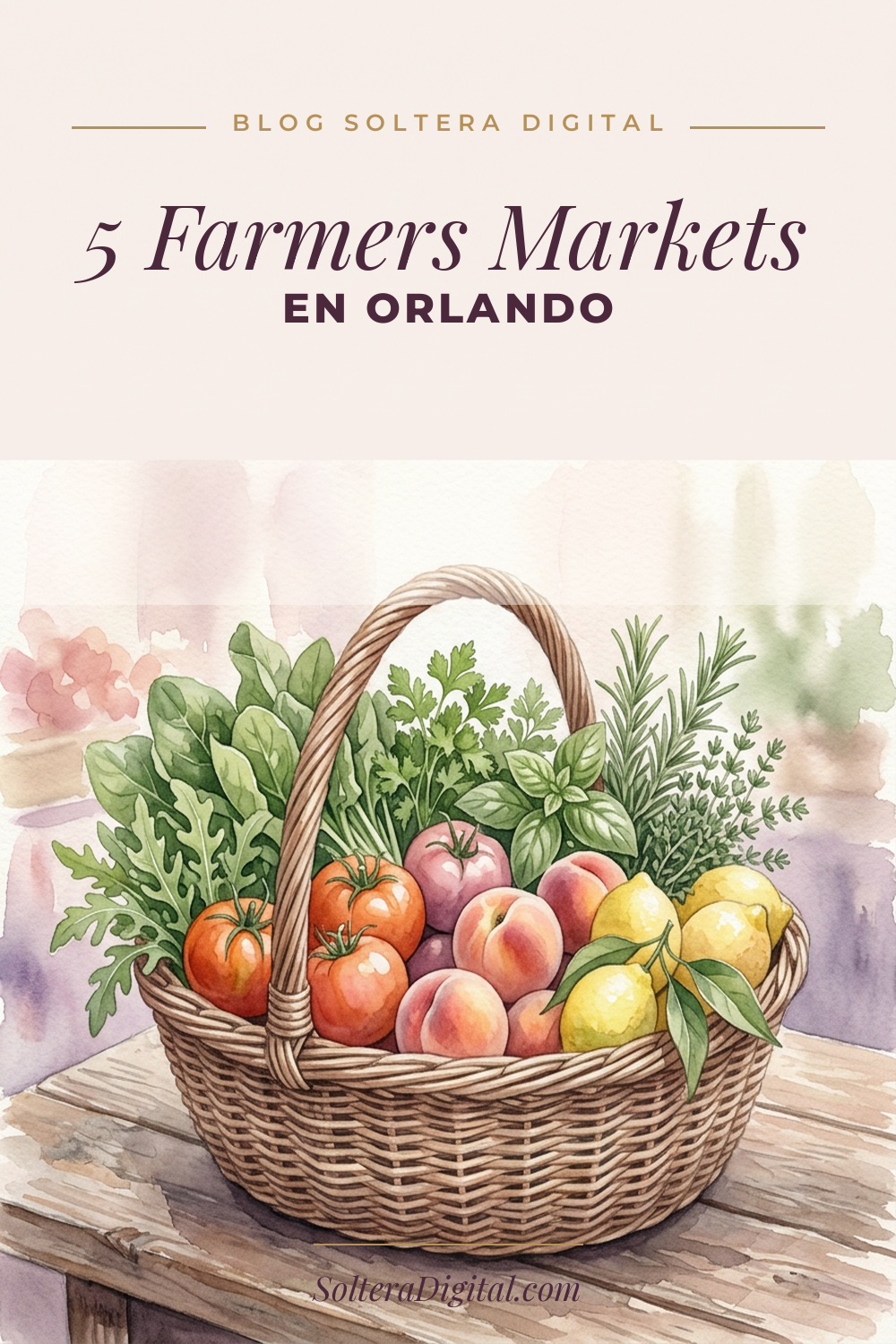 Los 5 Farmers Markets Que Siempre Visito en Orlando, Florida